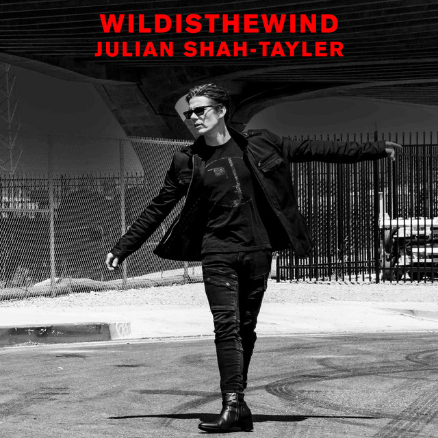 Wild Is The Wind (50th Anniversary)
