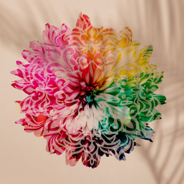 Moment cover art