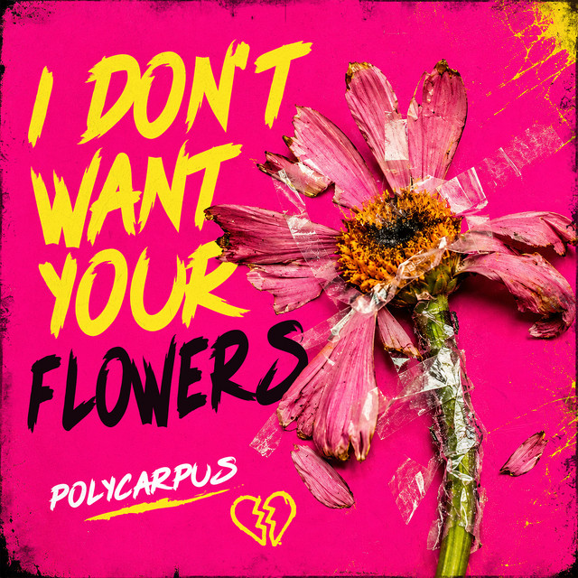 I Don't Want Your Flowers cover