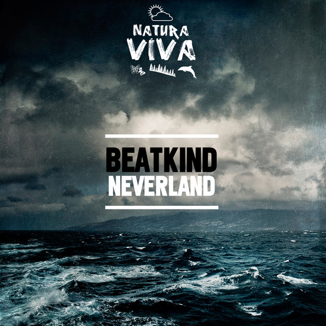 Neverland cover