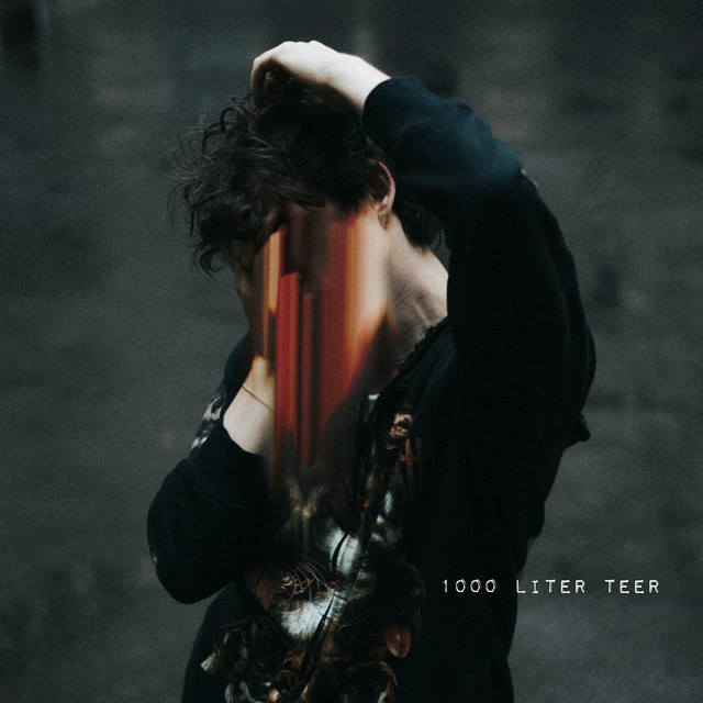 1000 Liter Teer cover art
