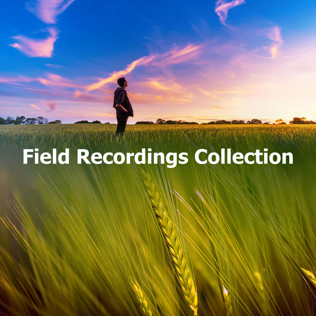 Field Recordings Collection - Album by The Field Recording Collective ...
