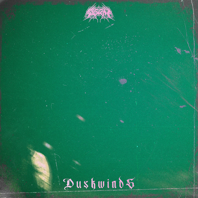 Duskwinds cover
