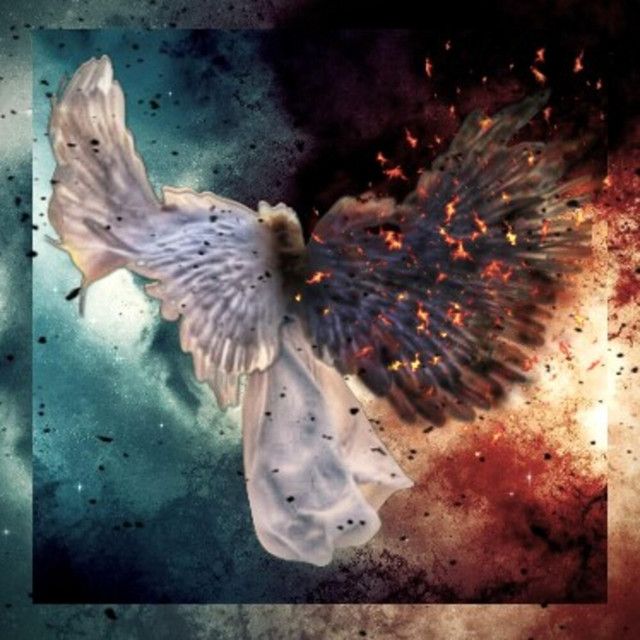 F4LLEN ANGEL cover art