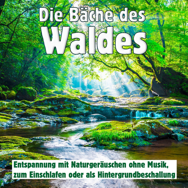 Die Bäche des Waldes, Entspannung mit Naturgeräuschen ohne Musik, zum Einschlafen oder als Hintergrundbeschallung cover art