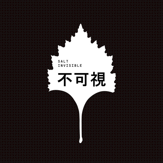 Invisible cover art