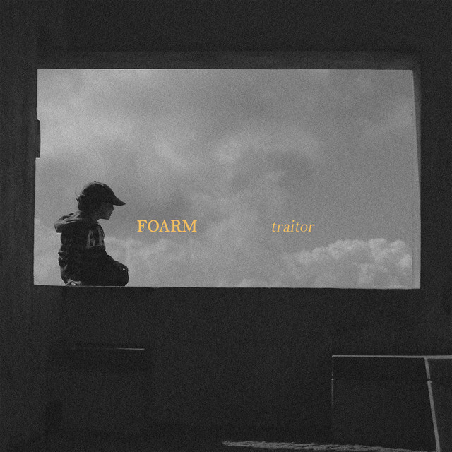 Traitor cover art