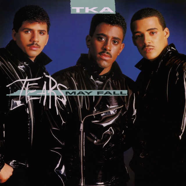 Tears May Fall cover art