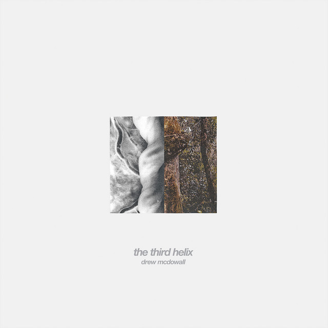 The Third Helix cover art
