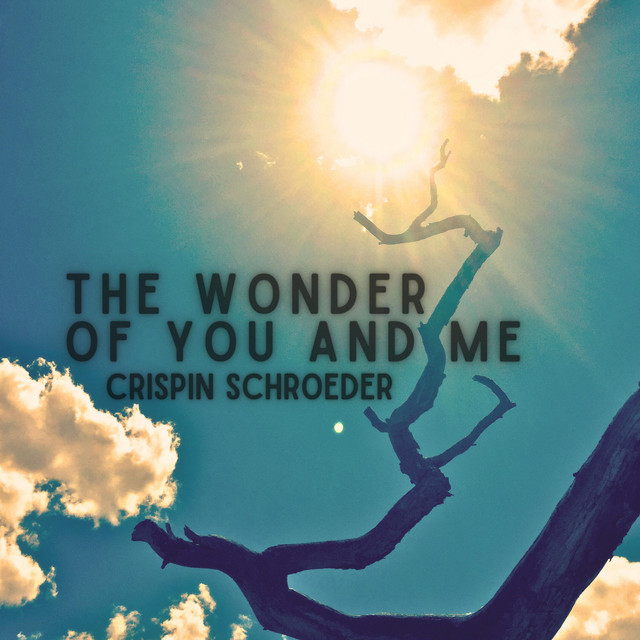 The Wonder of You and Me cover