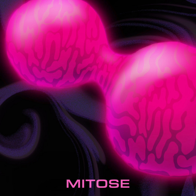 Mitose cover