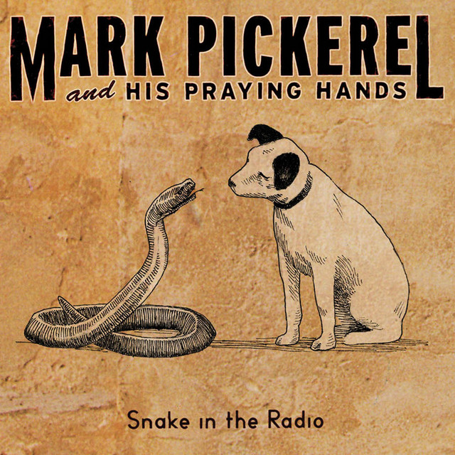 Snake In The Radio cover art