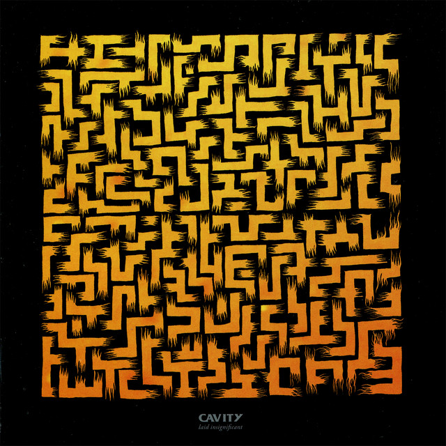 Laid Insignificant cover art