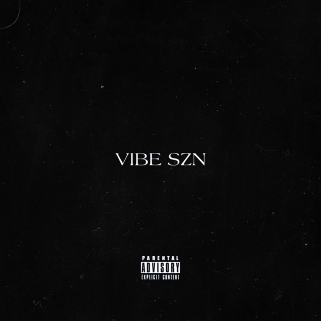 VIBE SZN - (compilation project) cover art