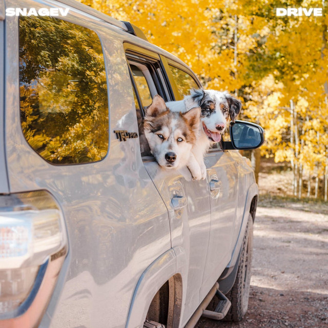 DRIVE cover art