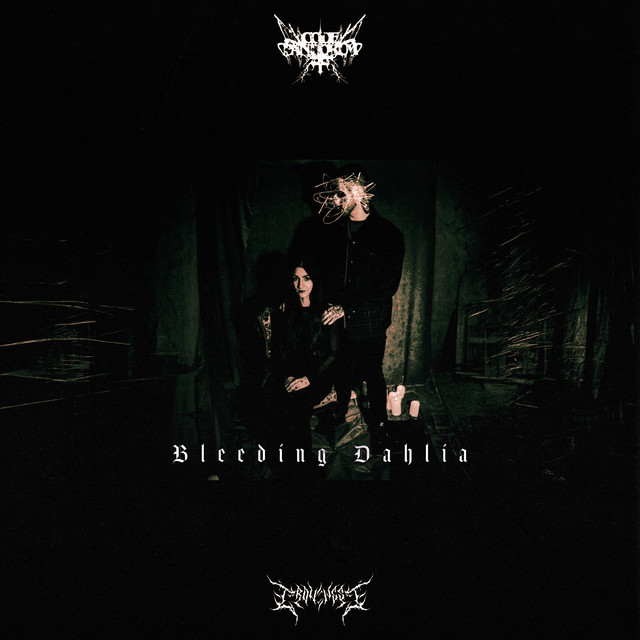 Bleeding Dahlia cover art