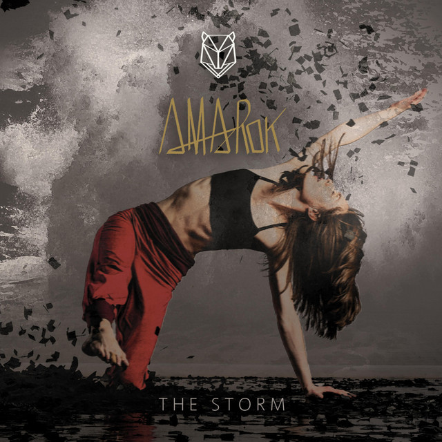 The Storm cover art