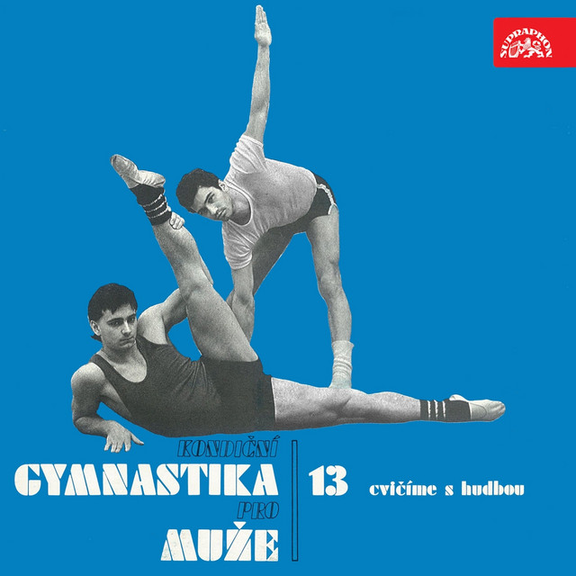 Cvičíme S Hudbou Č. 13 cover art