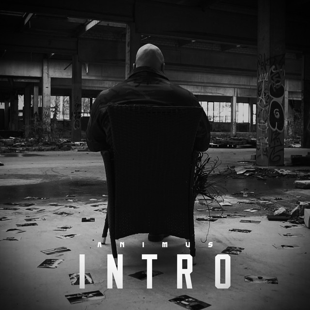 Intro - Single by Animus | Spotify