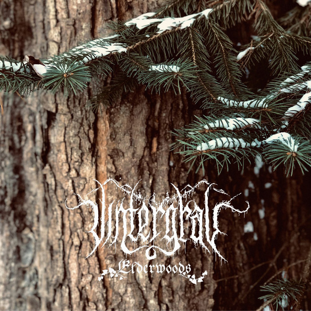 Elderwoods cover art