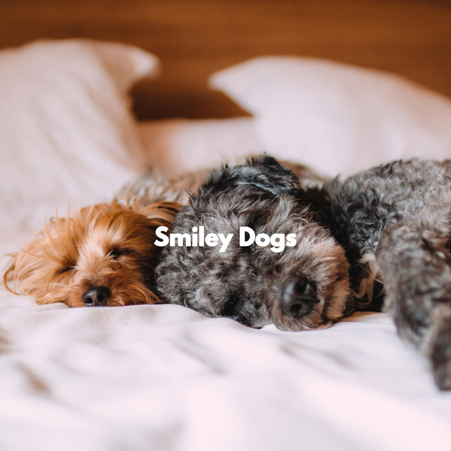 Smiley Dogs cover art