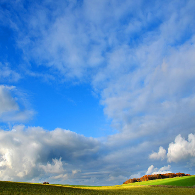 Piano Therapy for Mind Stabilization, Healing Insomnia, Calm Healing EEG Stability Sleeping Melody Lullaby 15 - September