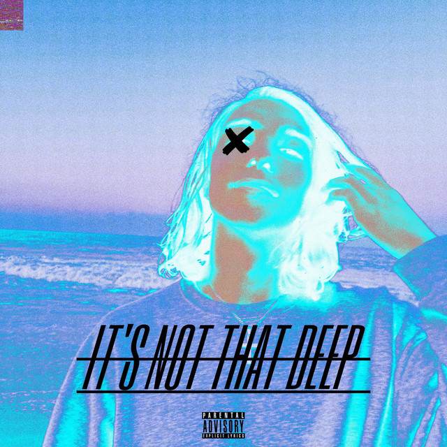 it's not that deep cover art