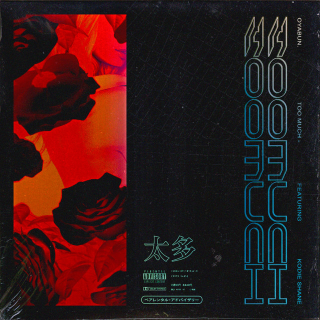 Too Much (feat. Kodie Shane) cover