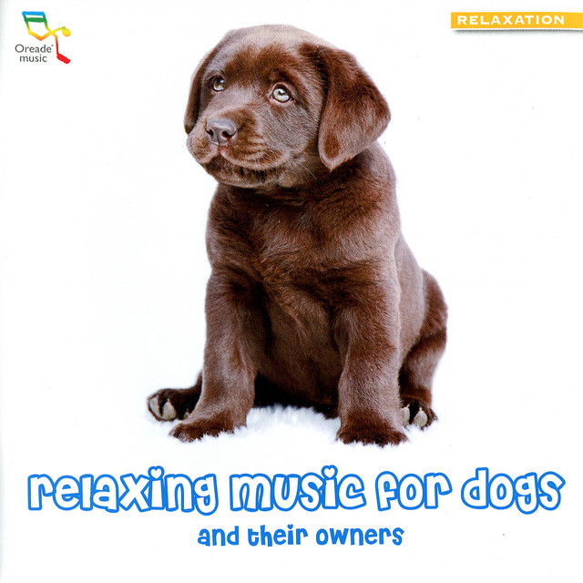 Relaxing Music for Dogs - and Their Owners cover art