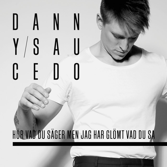 Hör vad du säger men jag har glömt vad du sa cover art