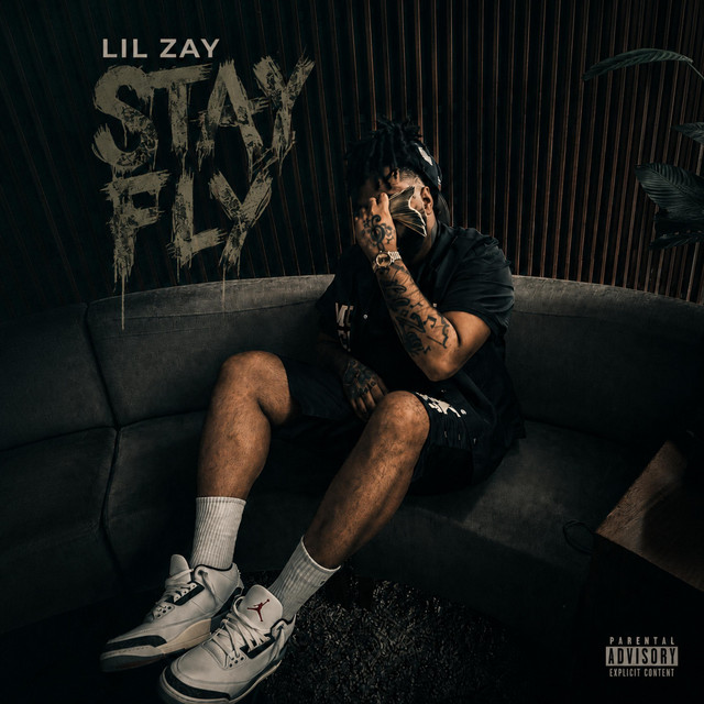 Stay Fly cover