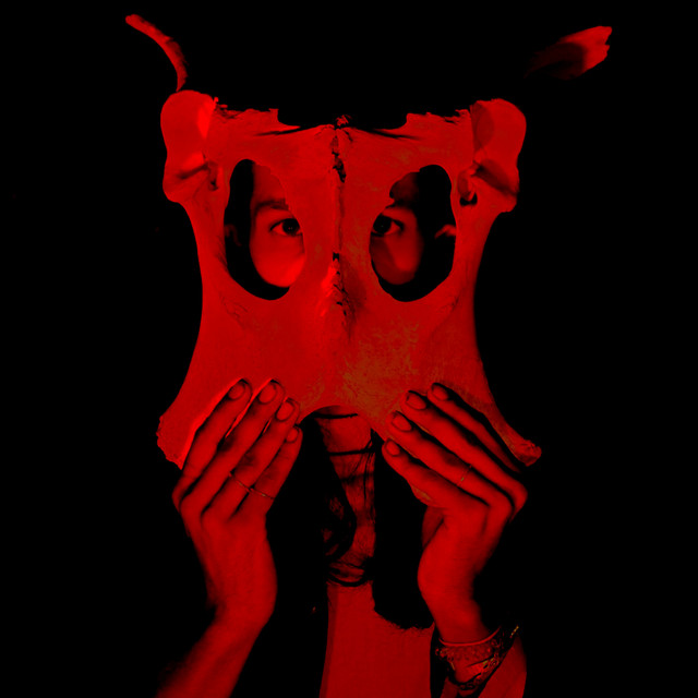 Acid Reign cover