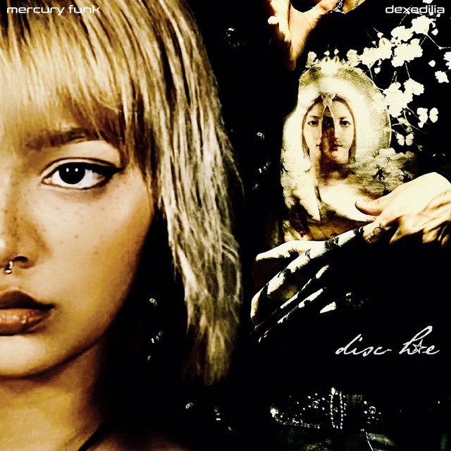 disc hoe (Deluxe) cover art