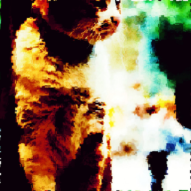 t=NODE Photo