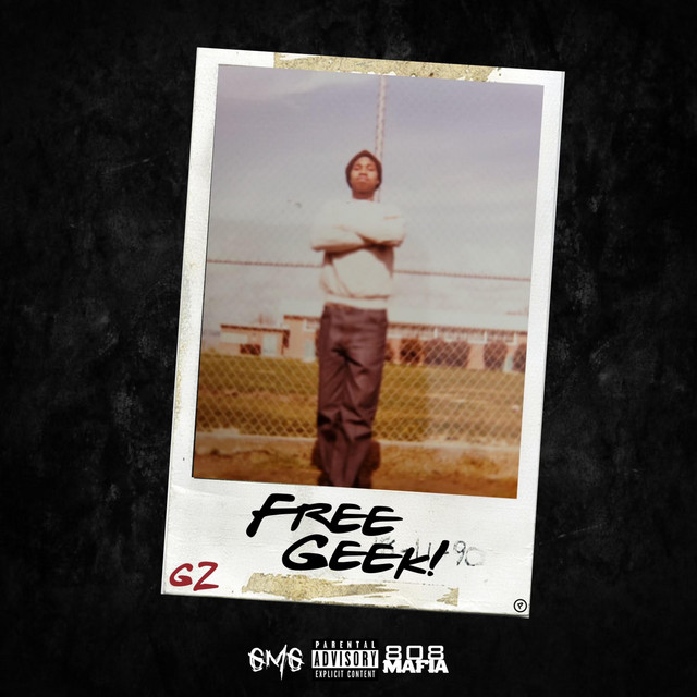 FREE GEEK cover art