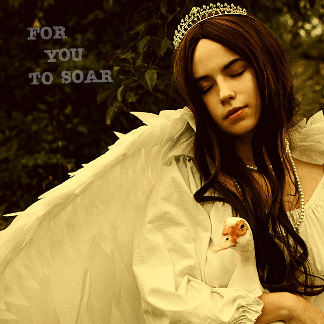 For You To Soar