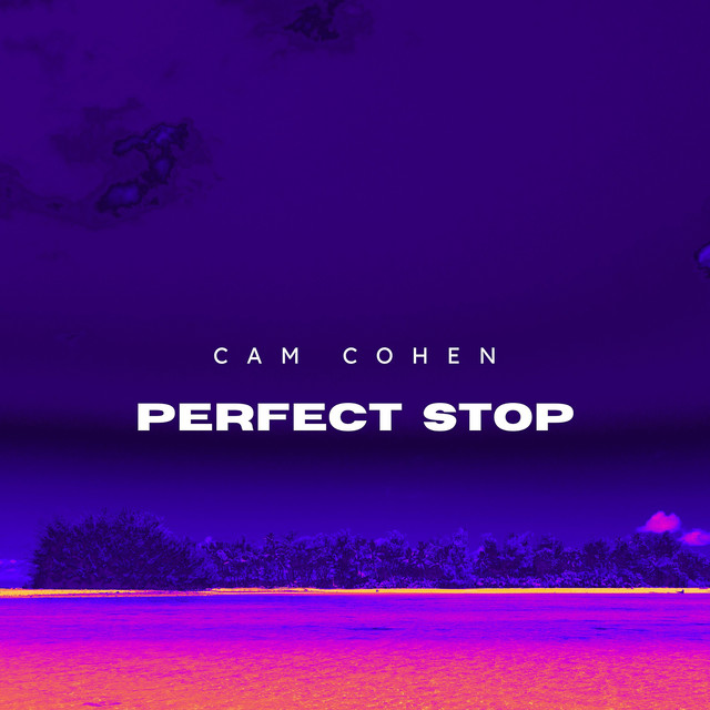Cam Cohen