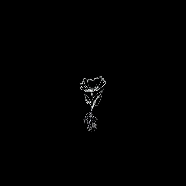 ROOTS cover art