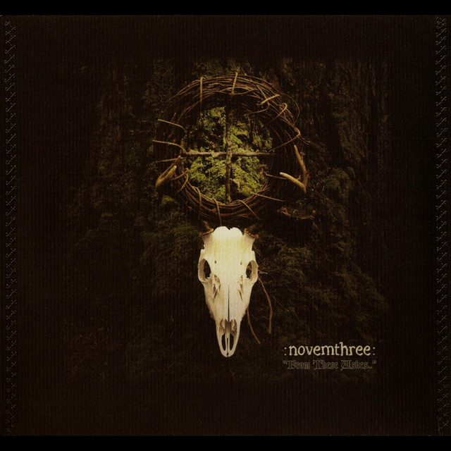 From These Ashes.. cover art