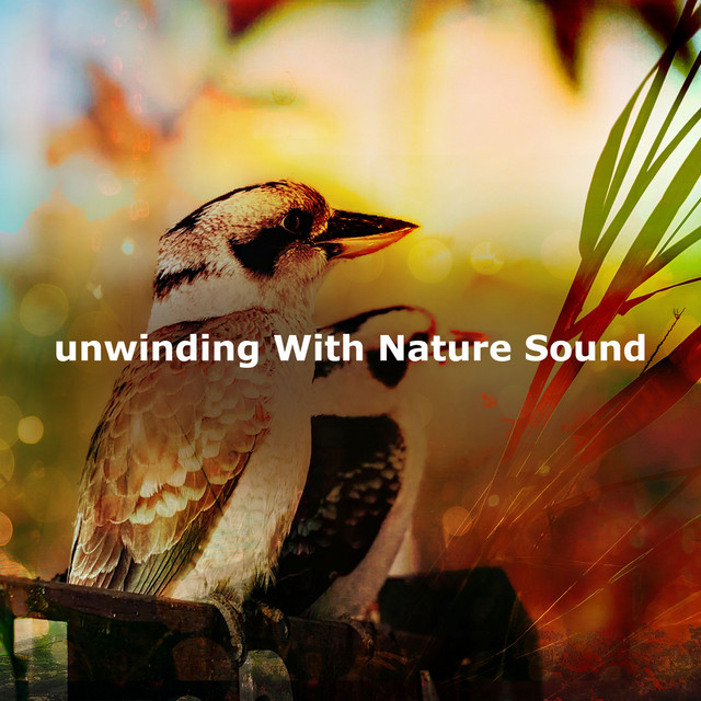 unwinding With Nature Sound - Album by Australian Nature Sounds | Spotify
