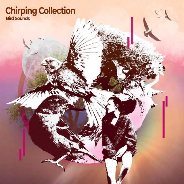 Chirping Collection - Album by Bird Sounds | Spotify