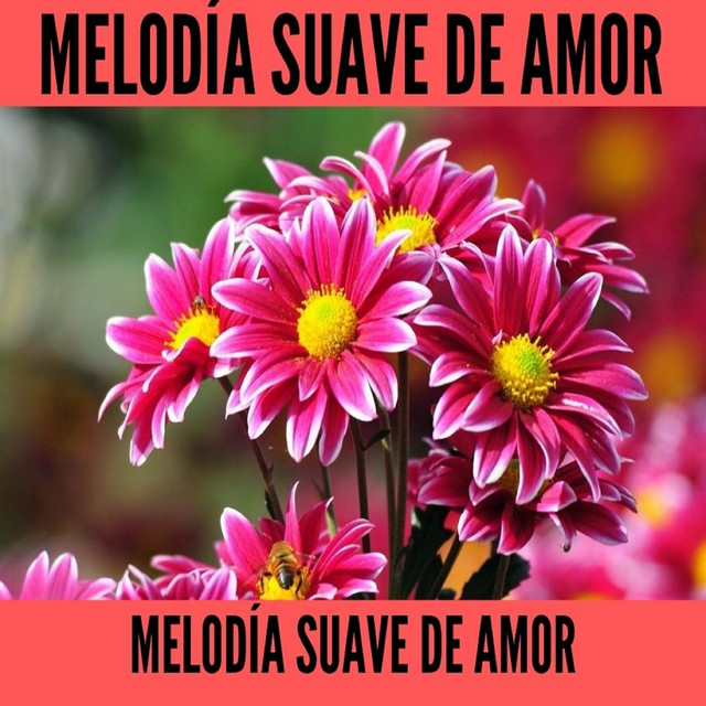 Melodía Suave De Amor cover art