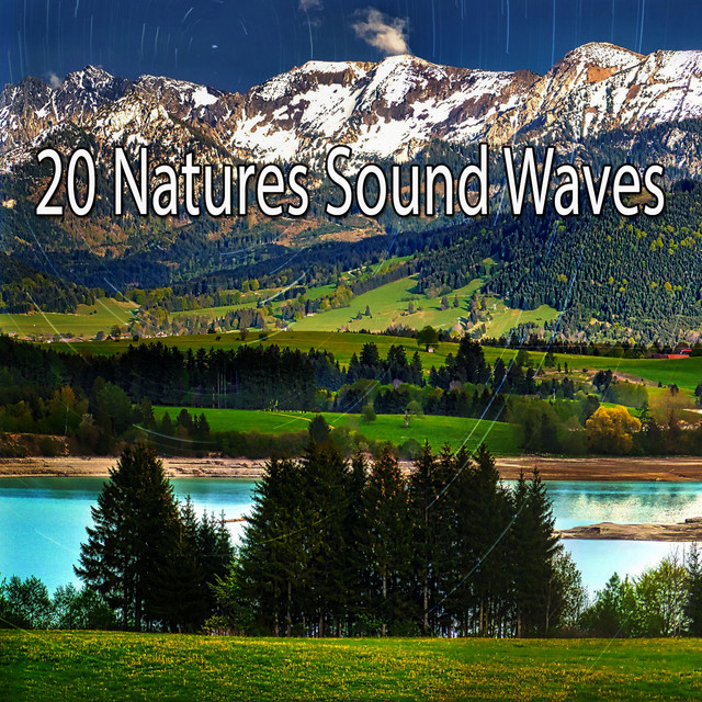 20 Natures Sound Waves - Album by Nature Ambience | Spotify