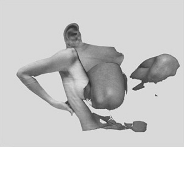 Mimicry cover art