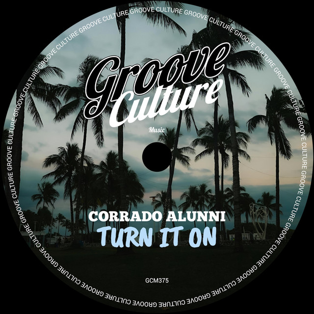 Turn It On - Edit album art