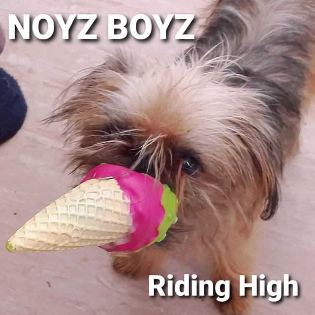 Cover of Riding High