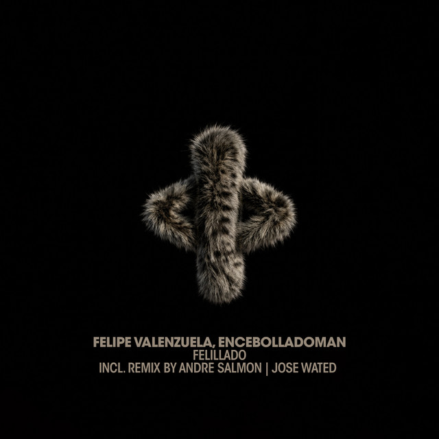 Felillado cover art
