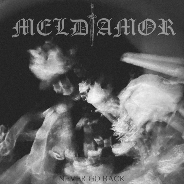 Never Go Back cover art