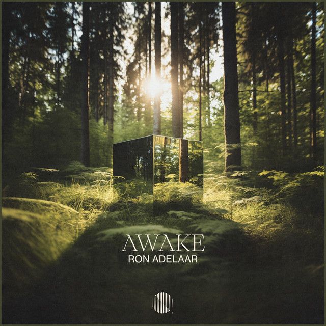 Awake by Ron Adelaar
