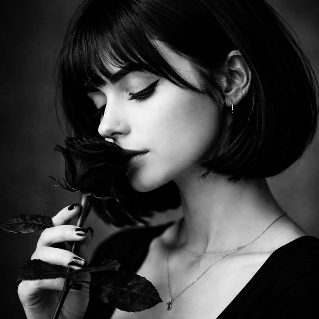 Black Rose cover art